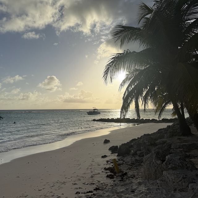 Beach at sunset
