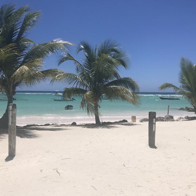 White-sand beach with palm trees